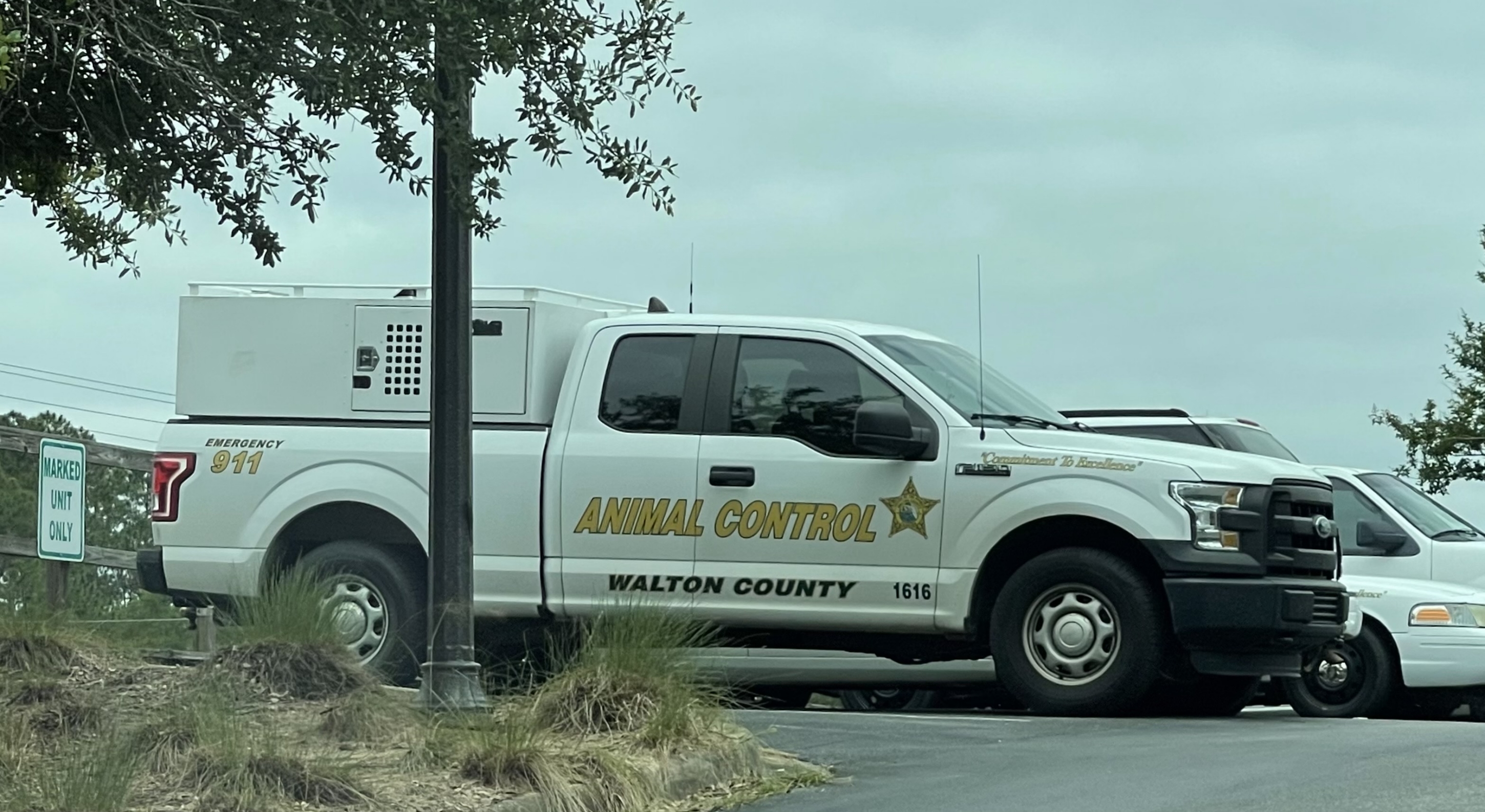 Animal Law Enforcement