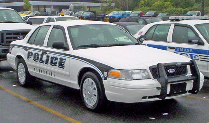 policecarsites